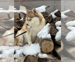 Small #12 Breeder Profile image