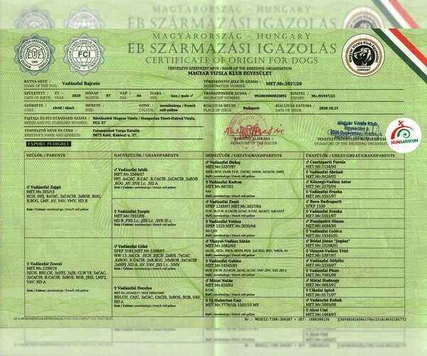 Medium Photo #2  Breeder Profile in LOS GATOS, CA, USA