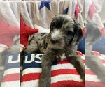 Small #2 Breeder Profile image