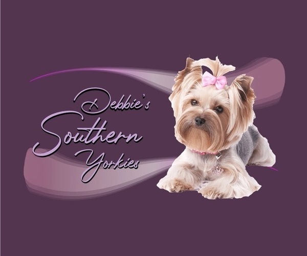 Medium Photo #2  Breeder Profile in ROCKWOOD, TN, USA