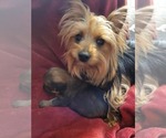 Small #124 Breeder Profile image