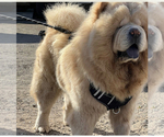 Small #3 Breeder Profile image