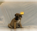 Small #7 Breeder Profile image
