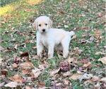 Small #15 Breeder Profile image