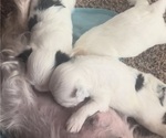 Small #7 Breeder Profile image