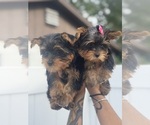 Small #19 Breeder Profile image