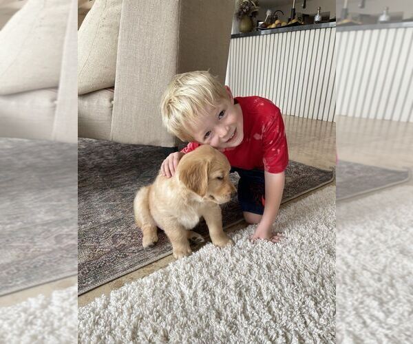 Medium Photo #14  Breeder Profile in LAS CRUCES, NM, USA