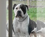 Small #69 Breeder Profile image