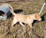 Small #22 Breeder Profile image