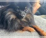 Small #10 Breeder Profile image