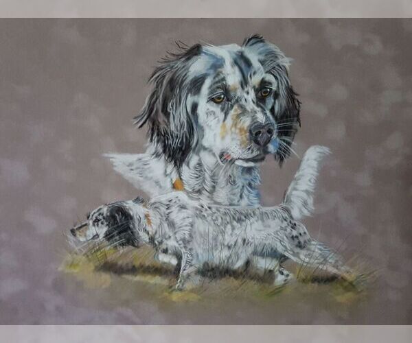 Medium Photo #1  Breeder Profile in PONDER, TX, USA
