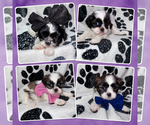 Small #27 Breeder Profile image