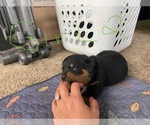 Small #26 Breeder Profile image