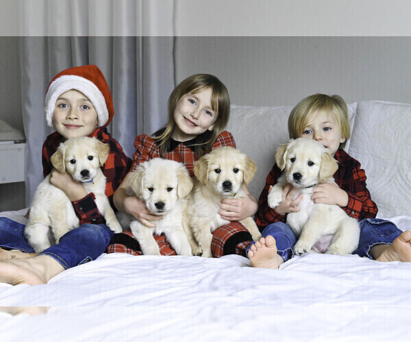 Medium Photo #5  Breeder Profile in OTTUMWA, IA, USA