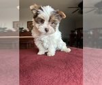Small #13 Breeder Profile image