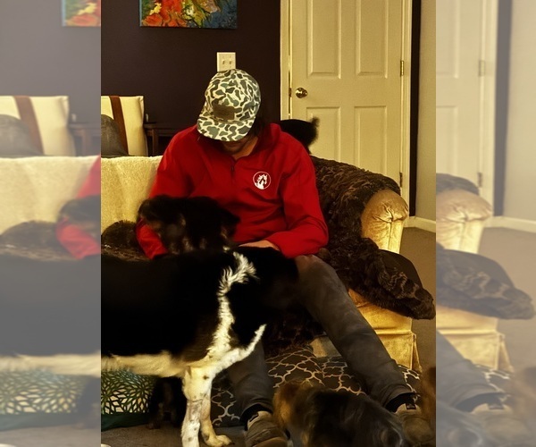 Medium Photo #10  Breeder Profile in BROADWAY, VA, USA