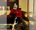 Small #9 Breeder Profile image