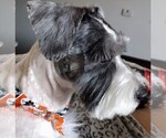 Small #1 Breeder Profile image