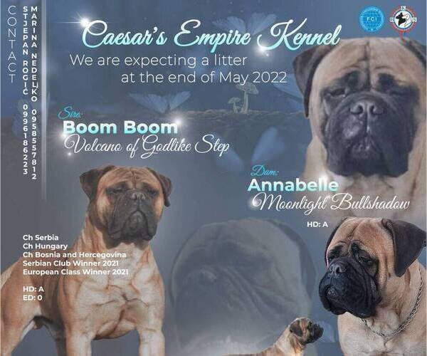 Medium Photo #1  Breeder Profile in Gornji Prnjarovec, Zagrebacka, Croatia