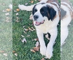 Small #7 Breeder Profile image