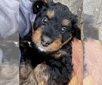 Small #3 Breeder Profile image