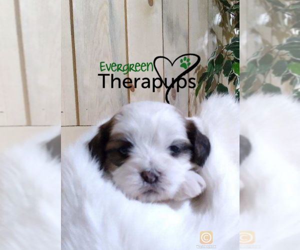 Medium Photo #1  Breeder Profile in MARENGO, WI, USA