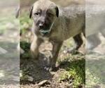 Small #28 Breeder Profile image