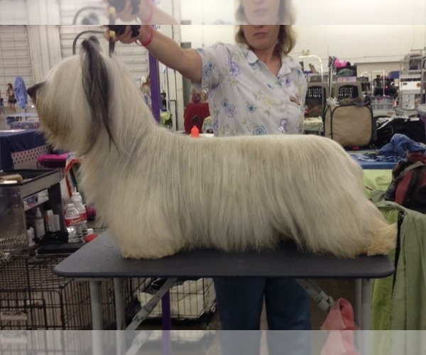Medium Photo #8  Breeder Profile in LAKESIDE, CA, USA