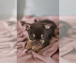 Small #13 Breeder Profile image