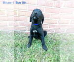 Small #1 Breeder Profile image