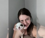 Small #1 Breeder Profile image