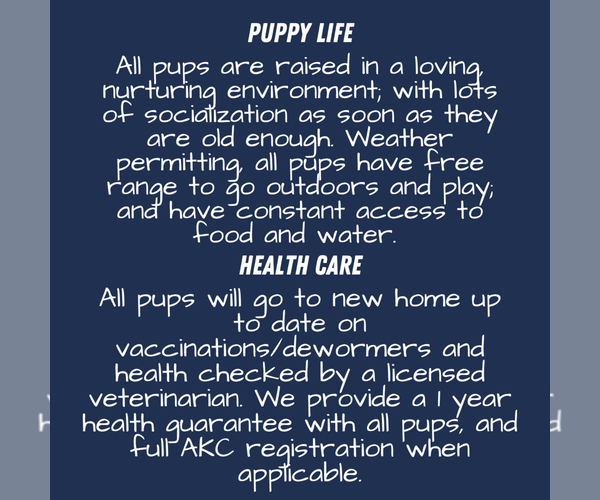 Medium Photo #8  Breeder Profile in GOSHEN, IN, USA