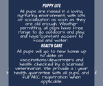 Small #7 Breeder Profile image