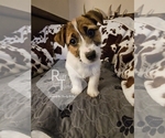 Small #23 Breeder Profile image