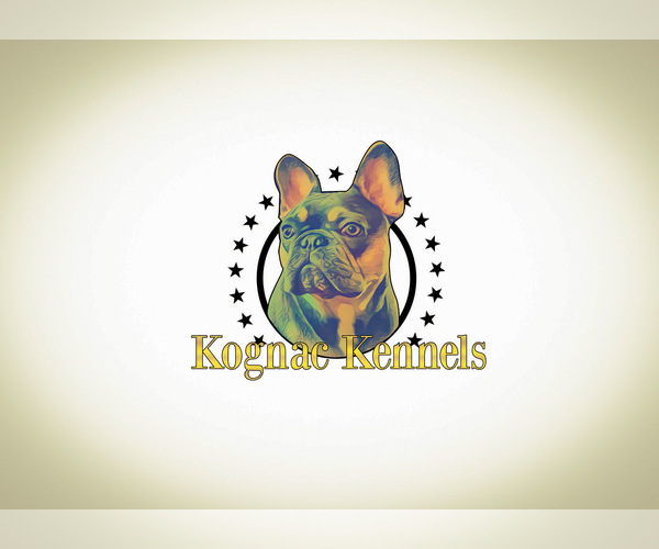 Medium Photo #1  Breeder Profile in CERRITOS, CA, USA