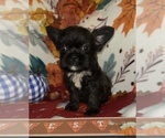 Small #12 Breeder Profile image