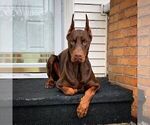 Small #47 Breeder Profile image