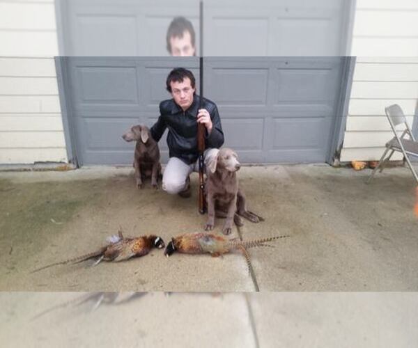 Medium Photo #1  Breeder Profile in LE MARS, IA, USA