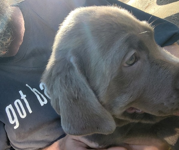 Medium Photo #7  Breeder Profile in PRINCETON, MN, USA