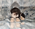 Small #7 Breeder Profile image