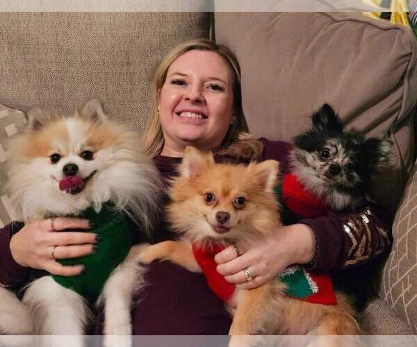 Medium Photo #1  Breeder Profile in NEW BRAUNFELS, TX, USA