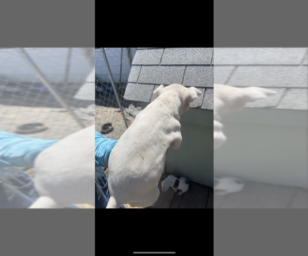 Medium Photo #1  Breeder Profile in TROY, KS, USA