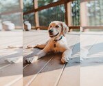 Small #21 Breeder Profile image