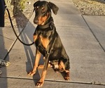 Small #1 Breeder Profile image