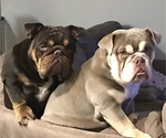 Small #5 Breeder Profile image