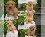 Small #7 Breeder Profile image