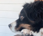 Small #21 Breeder Profile image