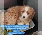 Small #34 Breeder Profile image
