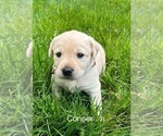 Small #9 Breeder Profile image