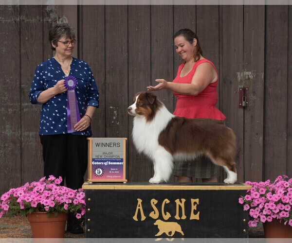 Medium Photo #3  Breeder Profile in BALLSTON LAKE, NY, USA